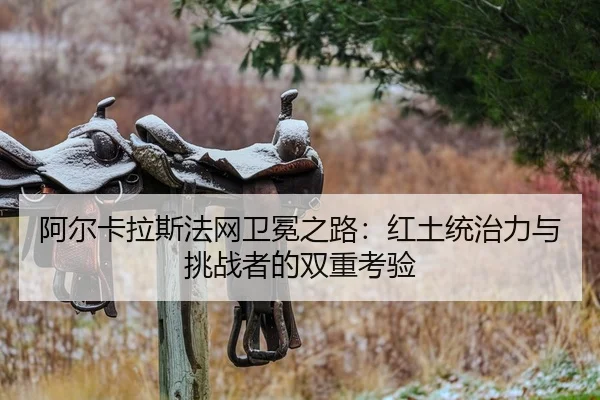 a-er-ka-la-si-fa-wang-wei-mian-zhi-lu-hong-tu-tong-zhi-li-yu-tiao-zhan-zhe-de-shuang-chong-kao-yan-2-755.jpg
