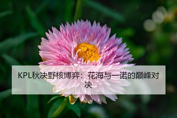 qiu-jue-ye-he-bo-yi-hua-hai-yu-yi-nuo-de-dian-feng-dui-jue-2-743.jpg