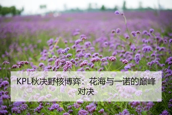 KPL秋决野核博弈：花海与一诺的巅峰对决