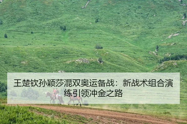 王楚钦孙颖莎混双奥运备战：新战术组合演练引领冲金之路