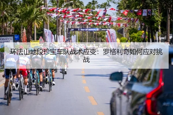 huan-fa-shan-di-duan-zhen-bao-che-dui-zhan-shu-ying-bian-luo-ge-li-qi-ru-he-ying-dui-tiao-zhan-3-598.jpg