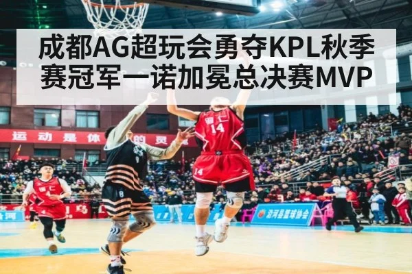 成都AG超玩会勇夺KPL秋季赛冠军一诺加冕总决赛MVP